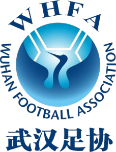 武汉女足U16队标,武汉女足U16图片
