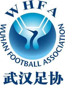 武汉U18女足队标,武汉U18女足图片